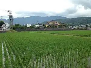 早良2丁目の水田と脊振山地
