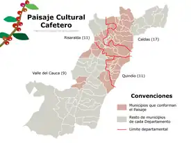コーヒー農園の景観