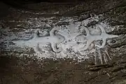ヤモリのレリーフ