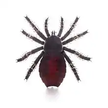 パレオカリヌス(Palaeocharinus rhyniensis)