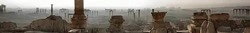 左: 早朝のパルミラ遺跡(2005年) 右: パルミラのローマ劇場(2010年)