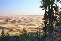 同じく秋の風景