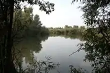 Palude di Busatello