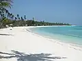 パマリカン島の南岸の砂浜