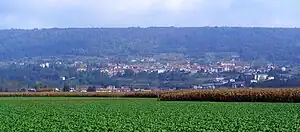 ピヴェローネの風景