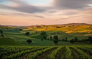 モンテ・ロベルトの風景