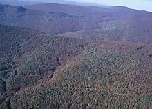 森に覆われた山の空撮写真