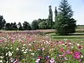 公園
