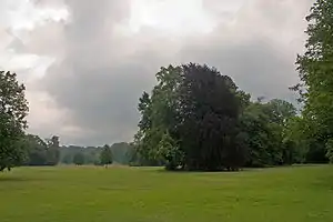 ムジャクフ公園