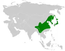 分布域