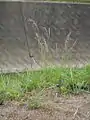 全体の姿
