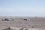 遊牧民のテント