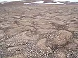 カナダ、北極諸島デヴォン島にみられるポリゴン構造。夏期に割れ目に染み込んだ水が凍結し氷の楔を作り出すことによって生ずると考えられている。