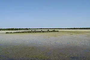 パルマス・アルボレーアの風景