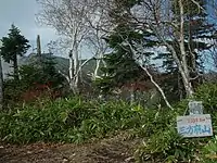 山頂には三角点が設置されている