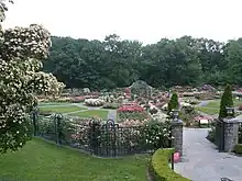 ニューヨーク植物園の薔薇(ニューヨーク)