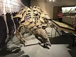 ペロロプリテス