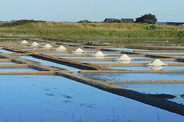ペン・ブロン岬からランクリの間にある塩田