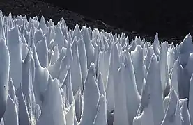 ペニテンテの群生地帯（高さ1～2メートル）。アルゼンチン中央アンデスの上リオブランコにて。