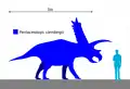 ヒトとのサイズ比較