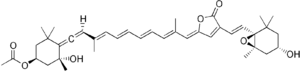 Skeletal formula