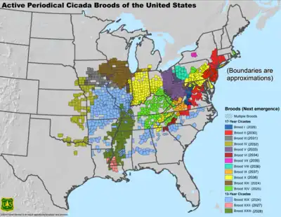 County-by-county map showing the locations of cicada broods, published May 2013