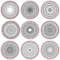 Perkel graph