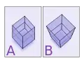 平行投影法 (A) と透視投影を用いた短縮法 (B) との違い