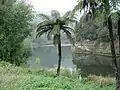ジェルサレム（英語版）（ヒルハラマ）の近くにある水源