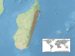 分布域