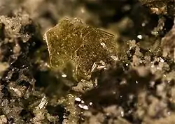 Phlogopite Monte Somma Italy