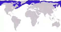 ワモンアザラシの生息図