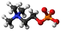 Ball-and-stick model{{{画像alt1}}}