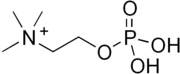 Skeletal formula