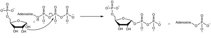 SN2反応による二リン酸転移反応