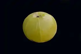 果実。縦に6条が走る。