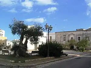 カストリニャーノ・デル・カーポの風景