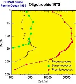 Vertical distribution of the photosynthetic picoplankton populations determined by flow cytometry in the tropical Pacific (OLIPAC cruise, 1994).
