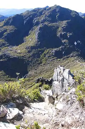 チリポ山