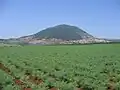 東から