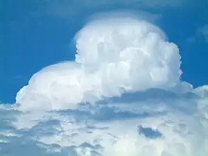 積乱雲のてっぺんにできた頭巾雲