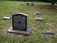 アメリカの犬のお墓