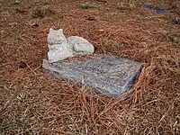 アメリカの猫のお墓