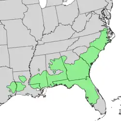 Range map of Pinus palustris