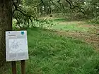 ピピンスブルク城趾