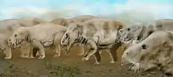 プラケリアス