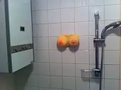 おっぱい