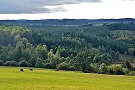 ミルヴァシュ高原