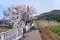 ホーム