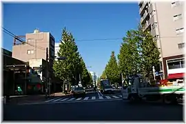 白金台交差点より外苑西通り(プラチナ通り)を望む
